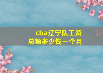 cba辽宁队工资总额多少钱一个月