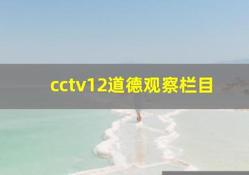 cctv12道德观察栏目