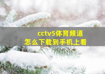 cctv5体育频道怎么下载到手机上看