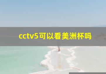 cctv5可以看美洲杯吗