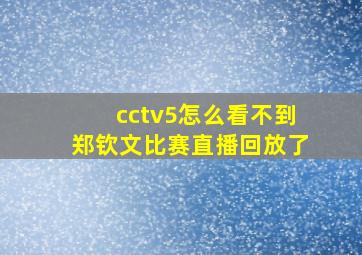 cctv5怎么看不到郑钦文比赛直播回放了