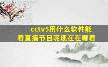 cctv5用什么软件能看直播节目呢现在在哪看