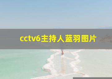 cctv6主持人蓝羽图片