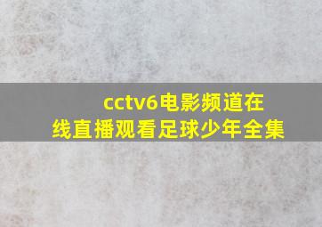 cctv6电影频道在线直播观看足球少年全集