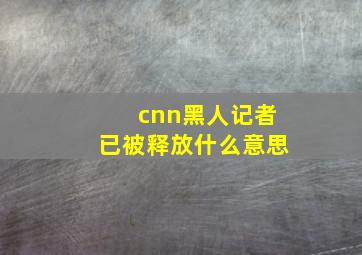 cnn黑人记者已被释放什么意思