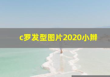 c罗发型图片2020小辫