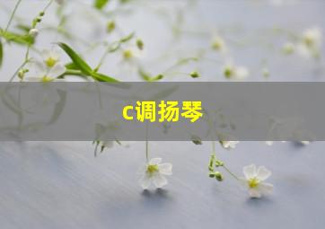 c调扬琴