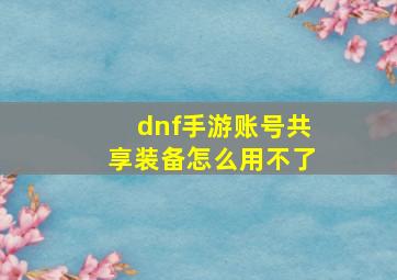 dnf手游账号共享装备怎么用不了