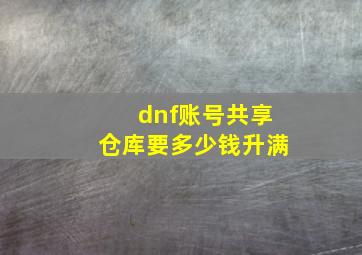 dnf账号共享仓库要多少钱升满