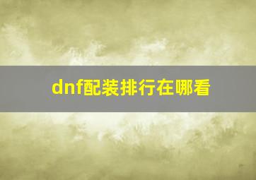 dnf配装排行在哪看