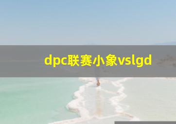 dpc联赛小象vslgd