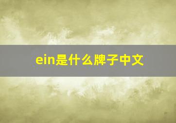 ein是什么牌子中文