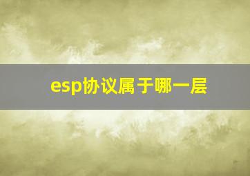 esp协议属于哪一层