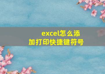 excel怎么添加打印快捷键符号