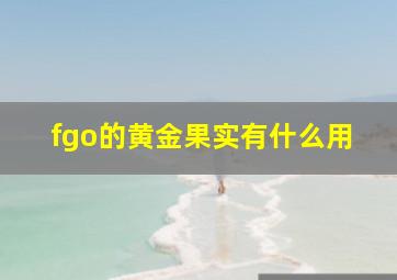 fgo的黄金果实有什么用