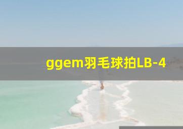 ggem羽毛球拍LB-4