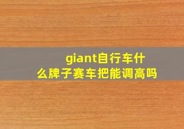 giant自行车什么牌子赛车把能调高吗