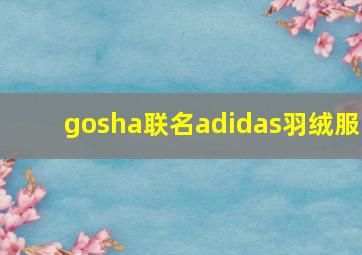 gosha联名adidas羽绒服