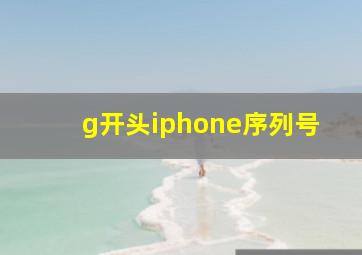 g开头iphone序列号