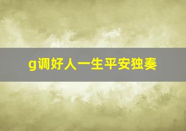 g调好人一生平安独奏