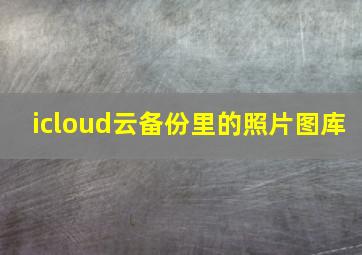 icloud云备份里的照片图库