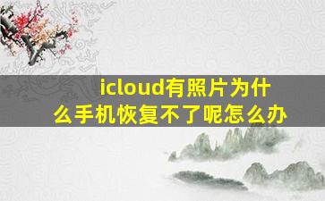 icloud有照片为什么手机恢复不了呢怎么办