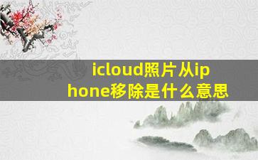 icloud照片从iphone移除是什么意思