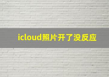 icloud照片开了没反应