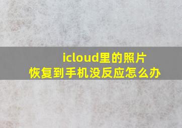 icloud里的照片恢复到手机没反应怎么办