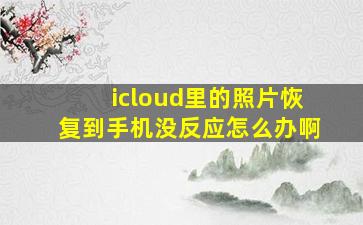 icloud里的照片恢复到手机没反应怎么办啊