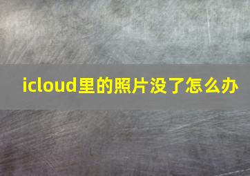 icloud里的照片没了怎么办