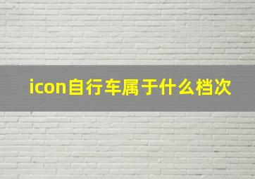 icon自行车属于什么档次