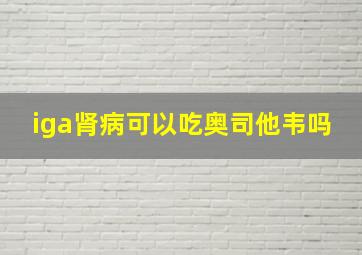 iga肾病可以吃奥司他韦吗