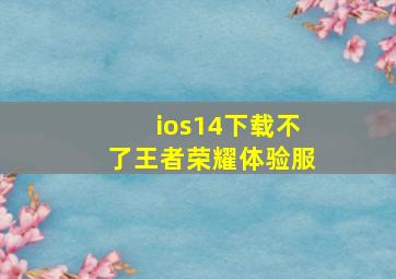 ios14下载不了王者荣耀体验服