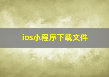 ios小程序下载文件