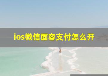 ios微信面容支付怎么开