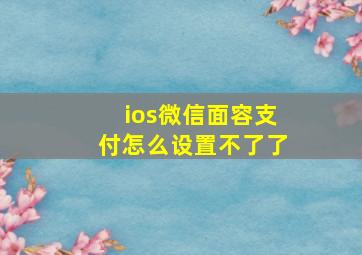 ios微信面容支付怎么设置不了了