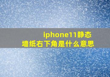 iphone11静态墙纸右下角是什么意思