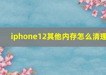 iphone12其他内存怎么清理