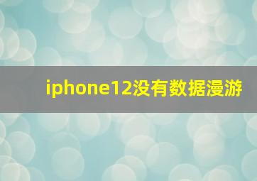 iphone12没有数据漫游