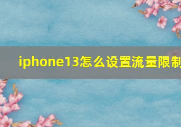 iphone13怎么设置流量限制