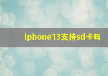 iphone13支持sd卡吗