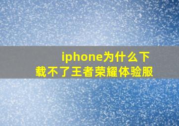 iphone为什么下载不了王者荣耀体验服