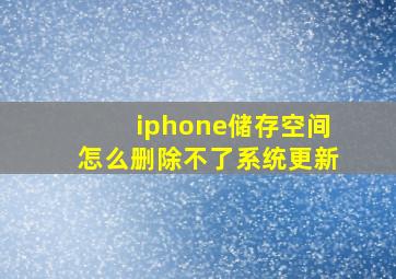 iphone储存空间怎么删除不了系统更新