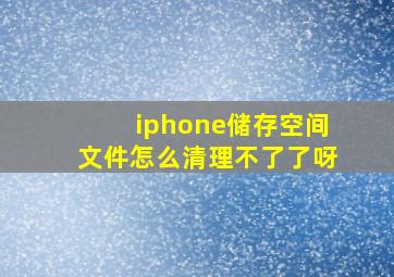 iphone储存空间文件怎么清理不了了呀