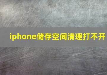 iphone储存空间清理打不开