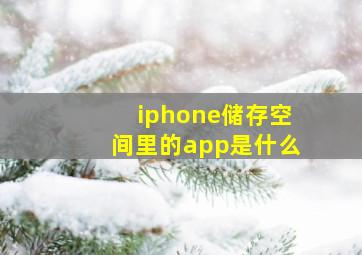 iphone储存空间里的app是什么