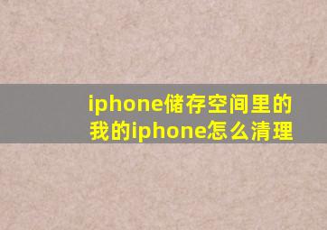 iphone储存空间里的我的iphone怎么清理