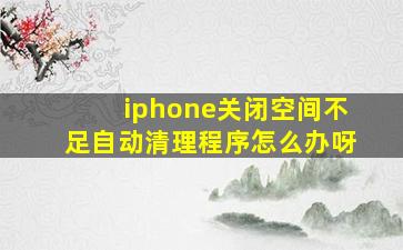 iphone关闭空间不足自动清理程序怎么办呀