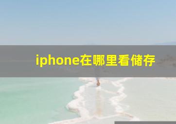 iphone在哪里看储存